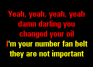 Yeah,yeah,yeah,yeah
damn darling you
changed your oil

I'm your number fan belt

they are not important