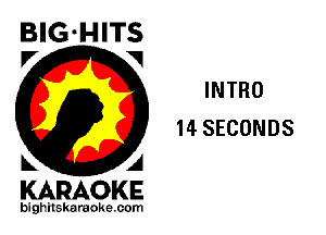 BIG-HITS
P' V

INTRO
14 SECONDS

KARAOKE

bighitskaraokecom