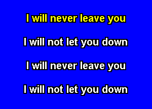 I will never leave you
I will not let you down

I will never leave you

I will not let you down