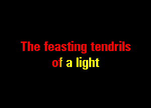 The feasting tendrils

of a light