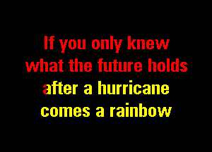 If you only knew
what the future holds

after a hurricane
comes a rainbow