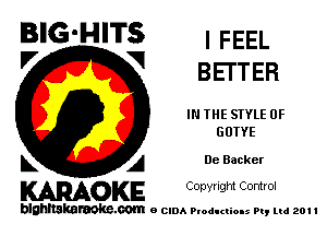 BIG'HITS ' FEEL

'7 V BETTER
IN THE STYLE 0F
GOTYE
L A De Backer

WOKE C opyr Igm Control

blghnskaraokc.com o CIDA P'oducliOIs m, ml 201 I