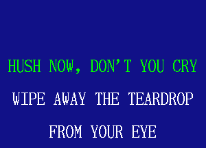 HUSH NOW, DOW T YOU CRY
WIPE AWAY THE TEARDROP
FROM YOUR EYE