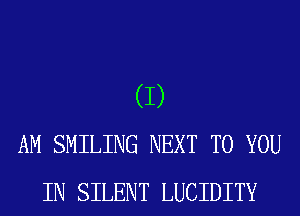 (I)
AM SMILING NEXT TO YOU
IN SILENT LUCIDITY