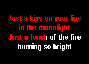 Just a kiss on your lips
in the moonlight
Just a touch of the fire
burning so bright