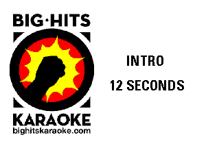 BIG-HITS
P' V

INTRO
12 SECONDS

KARAOKE

bighitskaraokecom