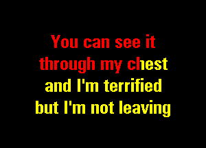 You can see it
through my chest

and I'm terrified
but I'm not leaving