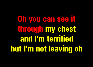 Oh you can see it
through my chest

and I'm terrified
but I'm not leaving oh