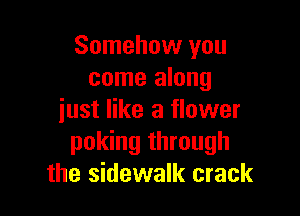 Somehow you
come along

just like a flower
poking through
the sidewalk crack