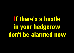 If there's a hustle

in your hedgerow
don't be alarmed now