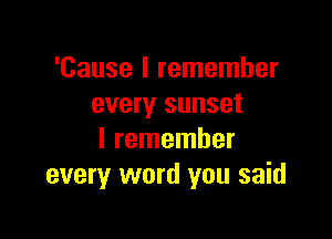 'Cause I remember
every sunset

I remember
every word you said