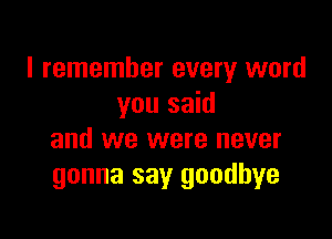 I remember every word
you said

and we were never
gonna say goodbye