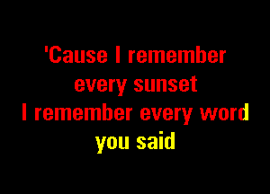 'Cause I remember
every sunset

I remember every word
you said