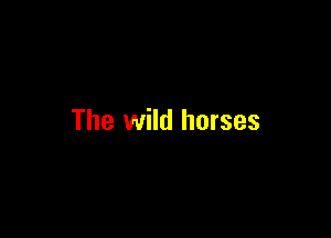 The wild horses