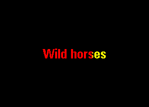 Wild horses