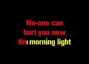 No-one can

hurt you now
the morning light