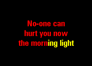 No-one can

hurt you now
the morning light