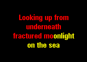 Looking up from
underneath

fractured moonlight
on the sea