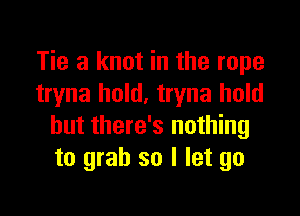 Tie a knot in the rope
tryna hold. tryna hold

but there's nothing
to grab so I let go