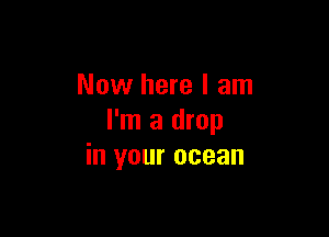 Now here I am

I'm a drop
in your ocean