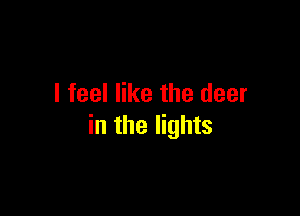I feel like the deer

in the lights