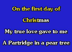 0n the first day of
Christmas
My true love gave to me

A Partridge in a pear tree
