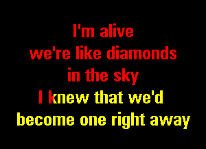 I'm alive
we're like diamonds

in the sky
I knew that we'd
become one right away