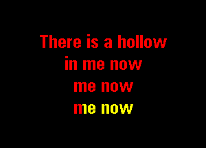 There is a hollow
in me now

me HOW
me OW
