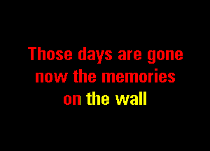 Those days are gone

now the memories
on the wall