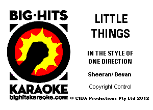 BIG'HITS LITTLE

V VI
THI NGS
IN THE STYLE OF
ONE DIRECTION
L A Sheeran! Bevan

WOKE C opyr Igm Control

blghnskaraokc.com o CIDA P'oducliOIs m, mi 2012