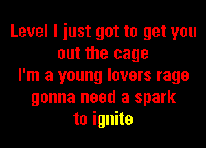 Level I iust got to get you
out the cage
I'm a young lovers rage
gonna need a spark
to ignite