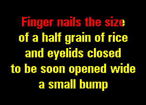 Finger nails the size
of a half grain of rice
and eyelids closed
to he soon opened wide
a small hump