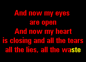 And now my eyes
are open
And now my heart
is closing and all the tears
all the lies, all the waste