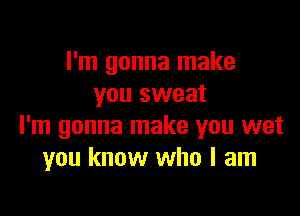 I'm gonna make
you sweat

I'm gonna make you wet
you know who I am