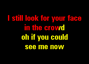 I still look for your face
in the crowd

oh if you could
see me now