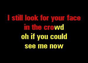 I still look for your face
in the crowd

oh if you could
see me now