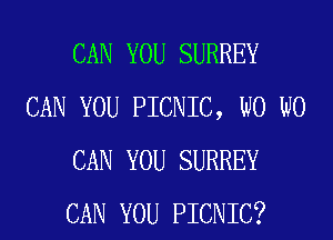 CAN YOU SURREY
CAN YOU PICNIC, W0 W0
CAN YOU SURREY
CAN YOU PICNIC?