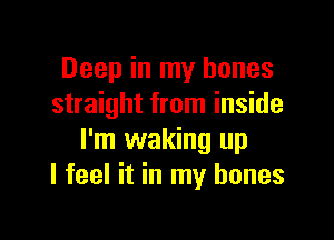 Deep in my bones
straight from inside

I'm waking up
I feel it in my bones