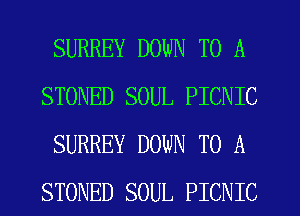 SURREY DOWN TO A
STONED SOUL PICNIC
SURREY DOWN TO A
STONED SOUL PICNIC