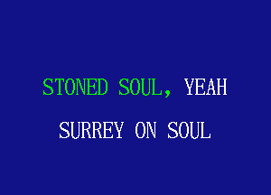 STONED SOUL, YEAH

SURREY 0N SOUL