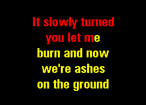 It slowly turned
you let me

burn and now
we're ashes
on the ground