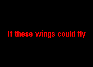If these wings could fly