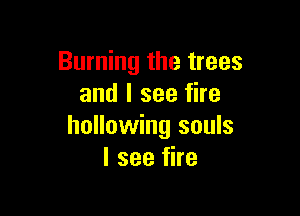 Burning the trees
and I see fire

hollowing souls
I see fire