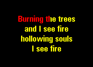 Burning the trees
and I see fire

hollowing souls
I see fire