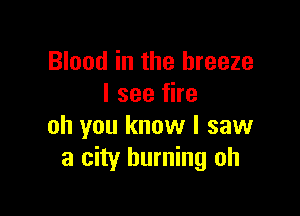 Blood in the breeze
I see fire

oh you know I saw
a city burning oh