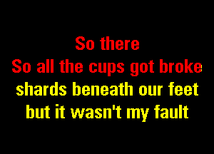 So there
So all the cups got broke
shards beneath our feet
but it wasn't my fault