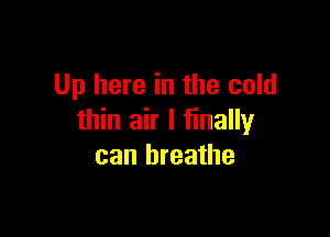 Up here in the cold

thin air I finally
can breathe