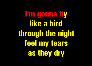 I'm gonna fly
like a bird

through the night
feel my tears
as they dry