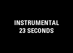 INSTRUMENTAL

23 SECONDS