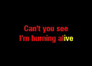 Can't you see

I'm burning alive